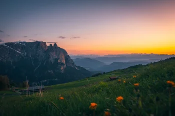 sunset over the shiliar range, alps, evening, evenings, twilight, dus, flowers, herb, herbs, lawns, italy, landscapes, little houses, huts, cottages, mountains, peaks, hills, sky, sunsets, sunset, switzerland, nature, world