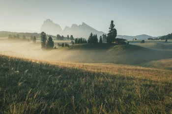 утренний туман на альпийских лугах, альпы, горы, вершины, холмы, деревья, домики, хижины, италия, пейзажи, рассветы, рассвет, восходы, трава, травы, газоны, туманы, туман, утро, швейцария, мир, природа