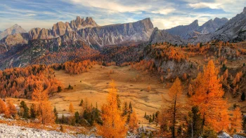 golden larch trees in the dolomites at sunset, alps, autumn, autumns, cliffs, italy, landscapes, mountains, peaks, hills, sunsets, sunset, trees, valleys, nature, world