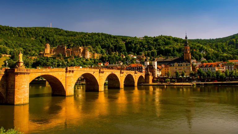the golden light of sunset over heidelberg castle, heidelberg, attractions, bridges, castles, churches, cities, city, cityscape, cityscapes, forest, forests, germany, mountains, peaks, hills, reflections, rivers, canals, streams, waterfronts, marinas, architecture, world