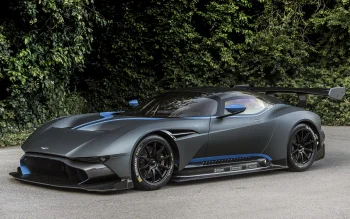 Матовий Aston Martin Vulcan на тлі густої літньої зелені