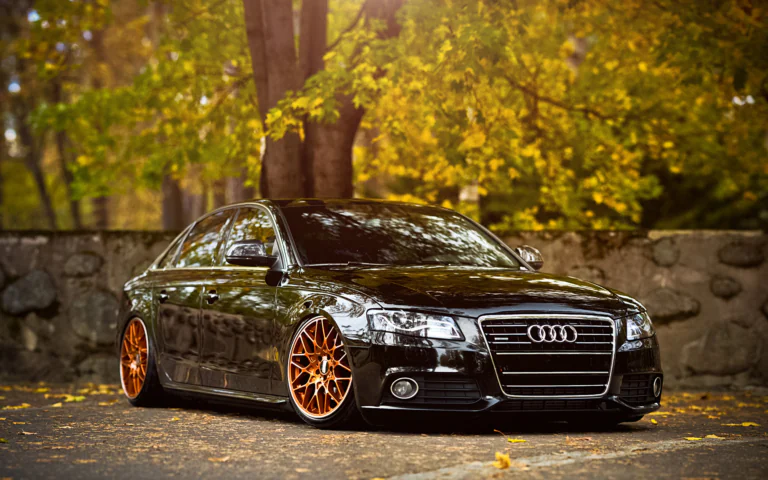 Черный седан Audi A4 на фоне осеннего парка