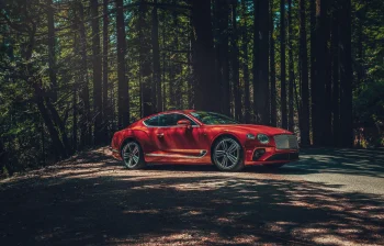 a red bentley continental gt on a forest road, bentley continental gt v8, bentley, cars, automobiles, discs, wheels, forest, forests, roads, highways, motorways, avenues, driveways, passageways, trees, auto, vehicles