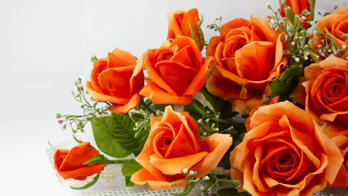 Bright orange roses in a gift bouquet