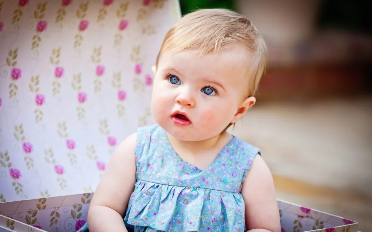 A Little Girl in a Gift Box
