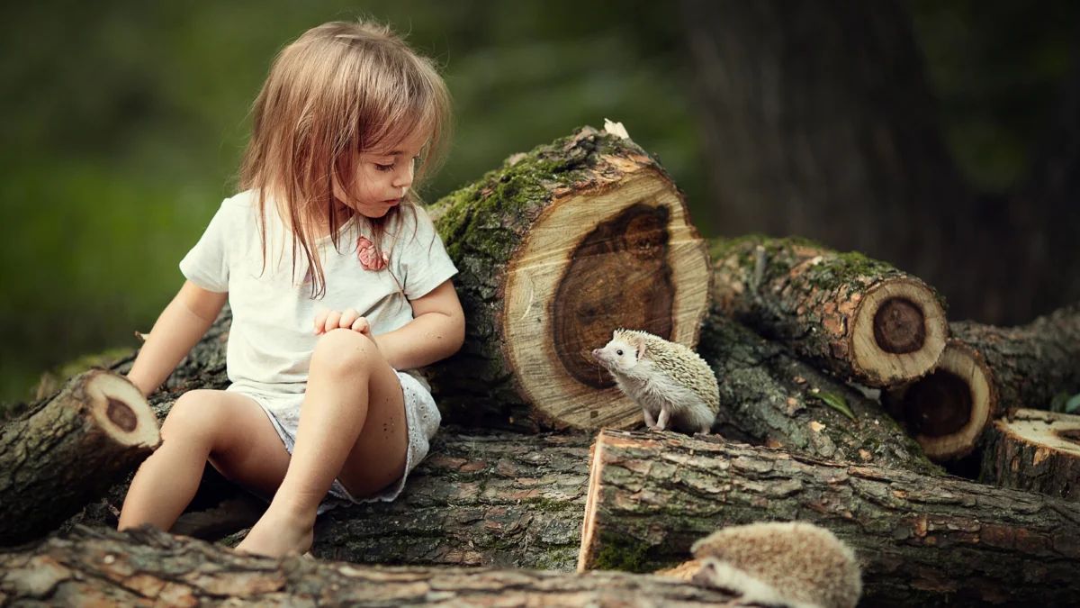 A Little Girl with Hedgehogs on Logs in the Forest