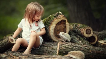 A Little Girl with Hedgehogs on Logs in the Forest