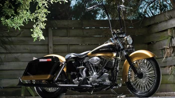 Золотистий Harley-Davidson у променях денного світла