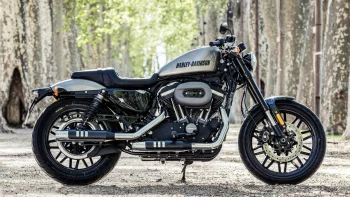 a harley-davidson roadster motorcycle on a forest path, harley-davidson roadster, cruiser motorcycles, cruisers, american classic motorcycles, discs, wheels, harley-davidson, motorcycles, bikes, trees, harley davidson, technology