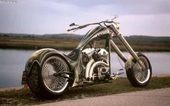 a custom harley-davidson motorcycle on the riverbank, choppers, discs, wheels, harley-davidson, motorcycles, bikes, harley davidson, technology