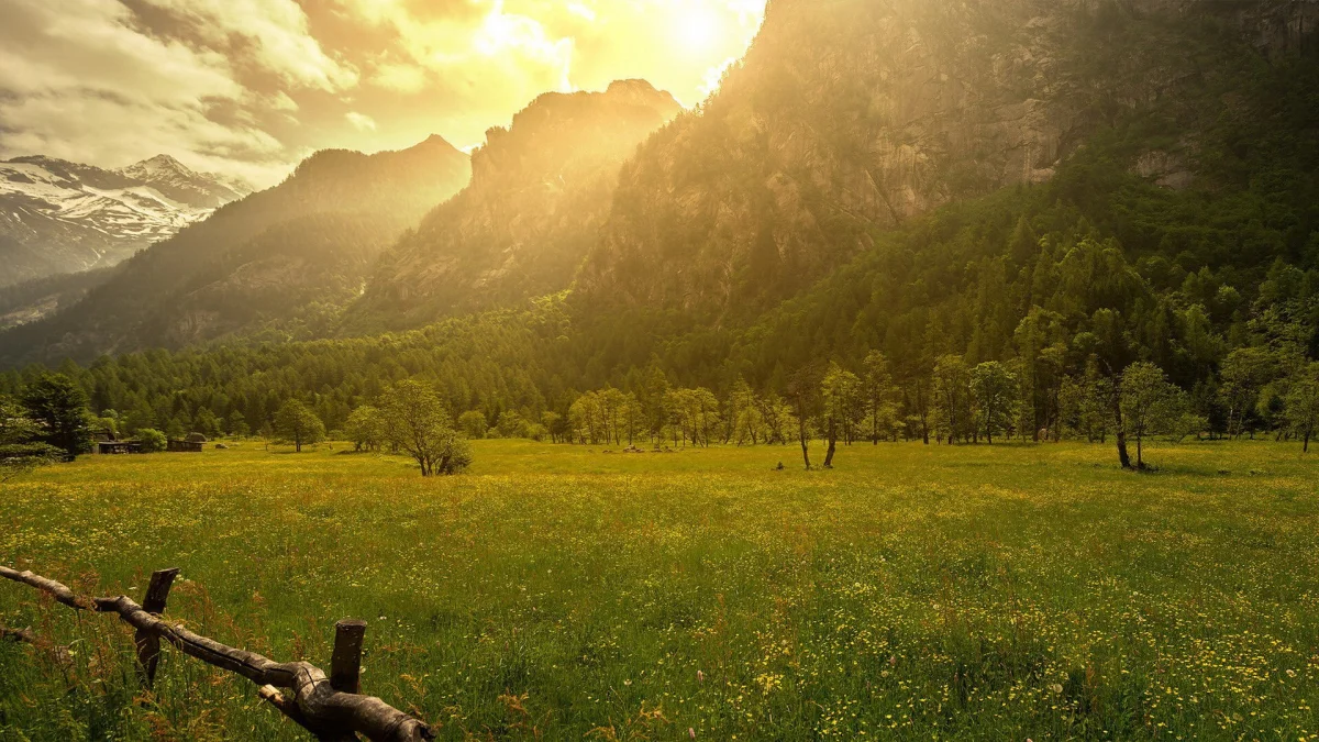 Golden Light in the Italian Alps