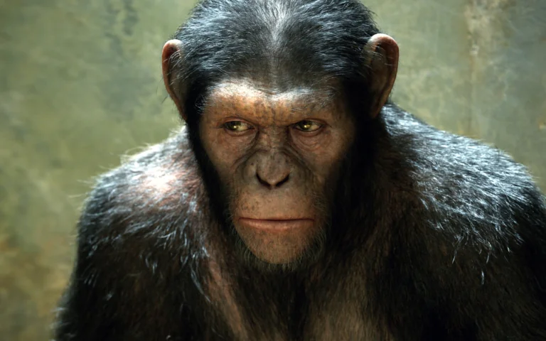 Caesar from the "Planet of the Apes" franchise