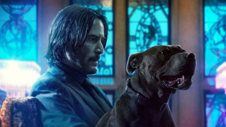 john wick and his pit bull, john wick 3, characters, actors, cinema, dogs, john wick, keanu reeves, men, movies