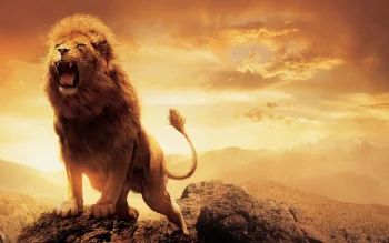 A roaring lion atop a cliff, bathed in the rays of the setting sun