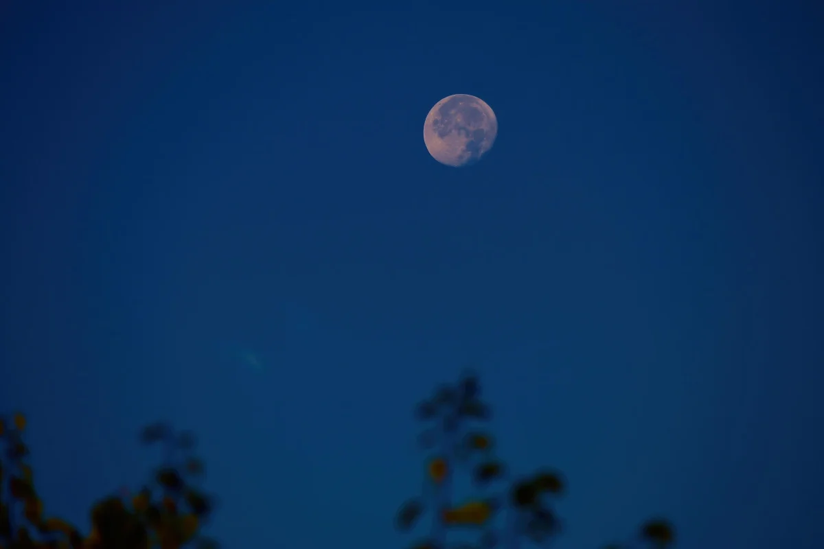 a full moon in the blue evening sky, moon, moons, satellites, sky, space, the universe, astronomy, planets, earth, the sun, stars, galaxies, nebulae
