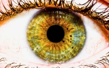 Green-brown eyes through the lens