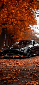 A black Mercedes-Benz AMG GT against the backdrop of an autumn-colored tree-lined avenue