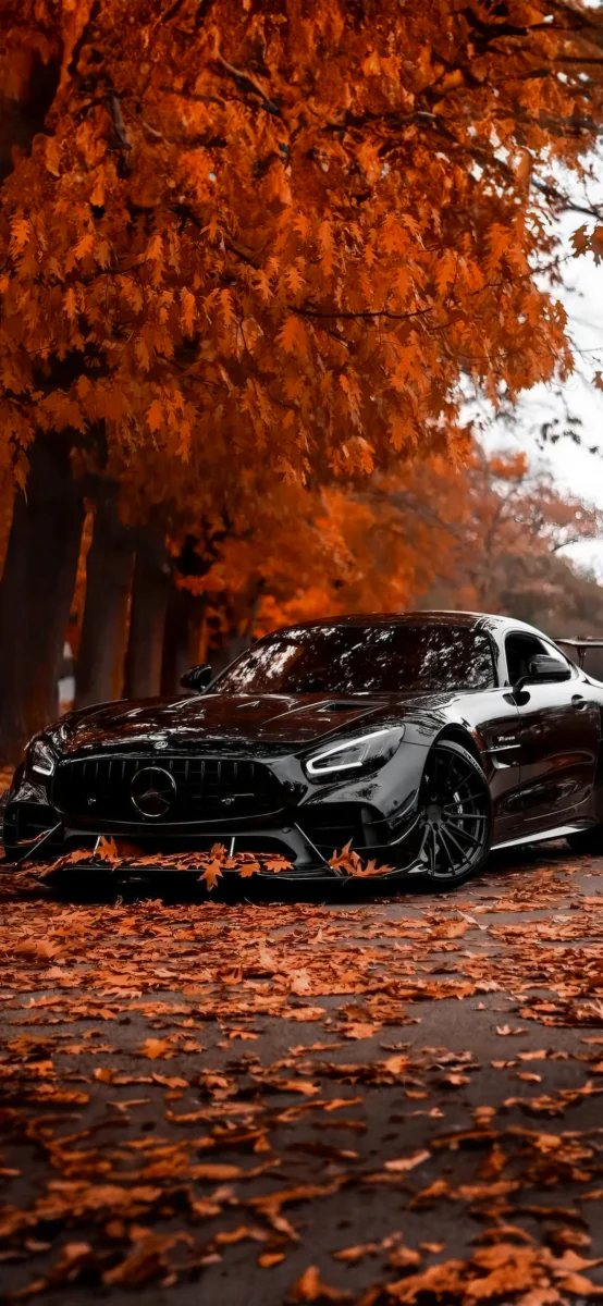Чорний Mercedes-Benz AMG GT на тлі осінньої алеї