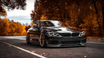 чорне купе bmw 4-ї серії на осінній дорозі, bmw 4, bmw, бмв, дерева, дороги, шляхи, траси, шосе, магістралі, автостради, проспекти, проїзди, листя, машини, автомобілі, осінь, осені, фари, авто