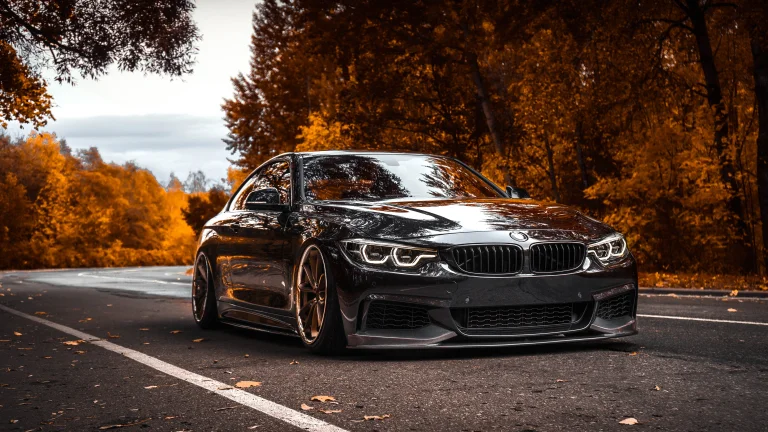 черное купе bmw 4 серии на осенней дороге, bmw 4, bmw, бмв, деревья, дороги, пути, трассы, шоссе, магистрали, автострады, проспекты, проезды, листья, листва, машины, автомобили, осень, осени, фары, авто