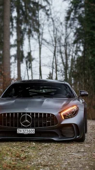Сірий Mercedes-AMG GT на лісовій дорозі