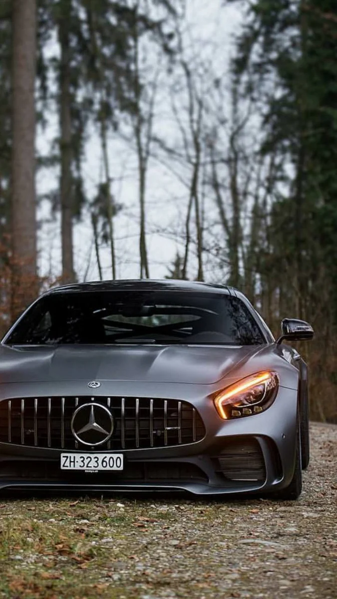 Сірий Mercedes-AMG GT на лісовій дорозі