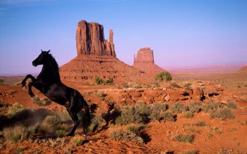 A black horse against the backdrop of the cliffs in Monument Valley, USA
