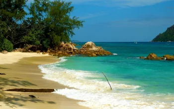 Turquoise waves off the sandy shore of the Seychelles