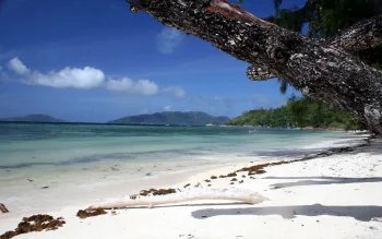 anse lazio beach in the seychelles, seychelles, beaches, coasts, boats, motorboats, speedboats, islands, lagoons, landscapes, ocean, oceans, pacific ocean, sand, sands, sky, trees, nature, world