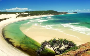 пляж уаинипани на острове фрейзер, австралия, пляж уаинипани, australia, волны, заливы, бухты, проливы, фьорды, небо, океан, океаны, тихий океан, пейзажи, песок, пески, пляжи, побережья, мир, природа