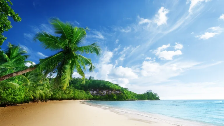 palm trees on anse lazio beach in the seychelles, anse lazio beach, seychelles, beaches, coasts, landscapes, palm trees, sand, sands, sea, sky, nature, world