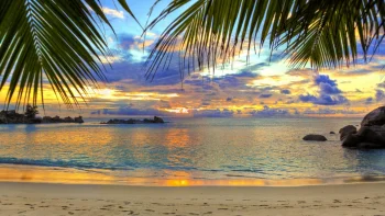 anse lazio beach in the seychelles, seychelles, beaches, coasts, clouds, evening, evenings, twilight, dus, landscapes, ocean, oceans, pacific ocean, palm trees, sand, sands, sky, sunsets, sunset, nature, world