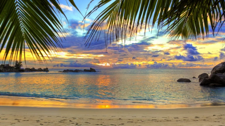 anse lazio beach in the seychelles, seychelles, beaches, coasts, clouds, evening, evenings, twilight, dus, landscapes, ocean, oceans, pacific ocean, palm trees, sand, sands, sky, sunsets, sunset, nature, world