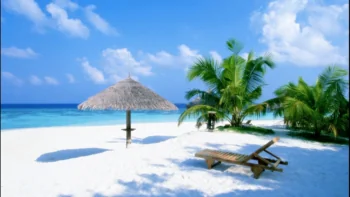 A sunny day on a snow-white beach lined with palm trees