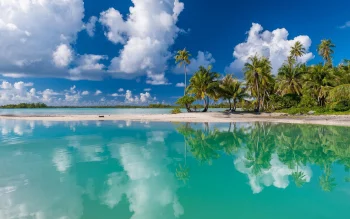 A turquoise lagoon with palm trees under a bright sky