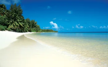 The snow-white sand of the tropical coast