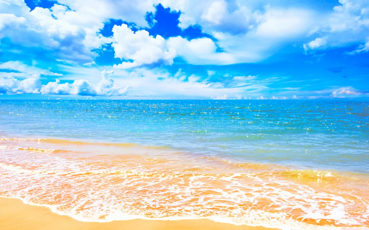 A bright, sunny day on the tropical coast