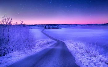 The starry sky above a farm in Norway