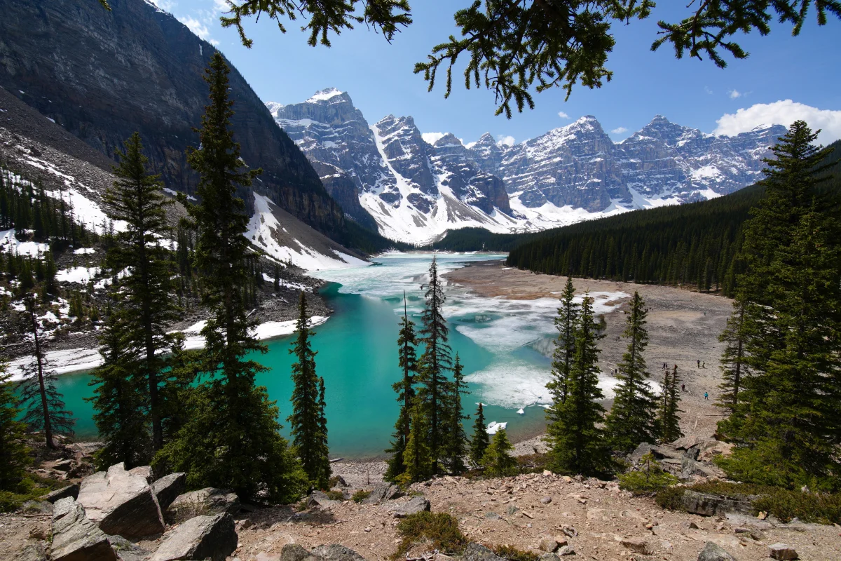 the turquoise waters of lake morain, banff (alberta, canada), canada, fir trees, coniferous trees, ice, ices, lakes, bodies of water, landscapes, mountains, peaks, hills, nature reserves, wildlife reserves, parks, national parks, snow, trees, nature, world