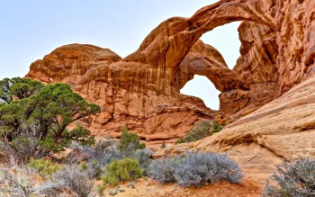 the double arch in arches national park, usa, arches (utah, u.s.), arches, cliffs, deserts, landscapes, nature reserves, wildlife reserves, parks, national parks, shrubs, stones, trees, united states, utah, nature, world