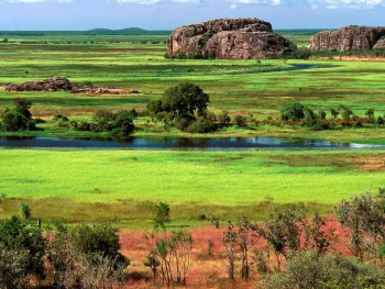 the lush expanses of kakadu national park in australia, cockatoo (australia), australia, cliffs, herb, herbs, lawns, landscapes, nature reserves, wildlife reserves, parks, national parks, rivers, canals, streams, shrubs, trees, nature, world