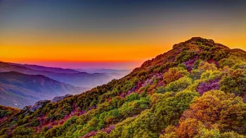 a golden sunset over the rolling forests of california, sequoia (california, usa), autumn, autumns, california, evening, evenings, twilight, dus, forest, forests, landscapes, mountains, peaks, hills, nature reserves, wildlife reserves, parks, national parks, sky, sunsets, sunset, trees, usa, united states, nature, world