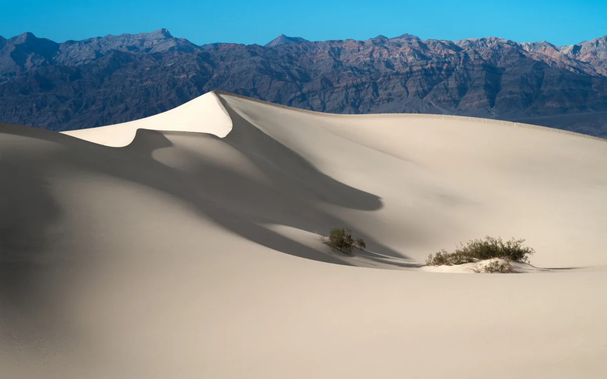 The Mesquite Flat sand dunes in Death Valley under the bright midday sun