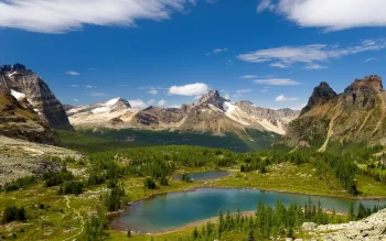 the turquoise lakes in the canadian rockies, yohoh (british columbia, canada), canada, lakes, bodies of water, landscapes, mountains, peaks, hills, nature reserves, wildlife reserves, parks, national parks, sky, summer, trees, valleys, nature, world