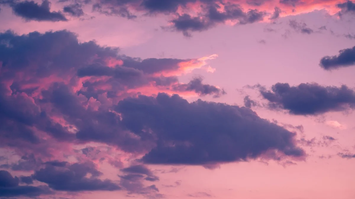 Pink clouds in the sunset sky