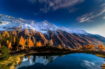 Заснеженные вершины Альп и лиственницы в лучах солнца