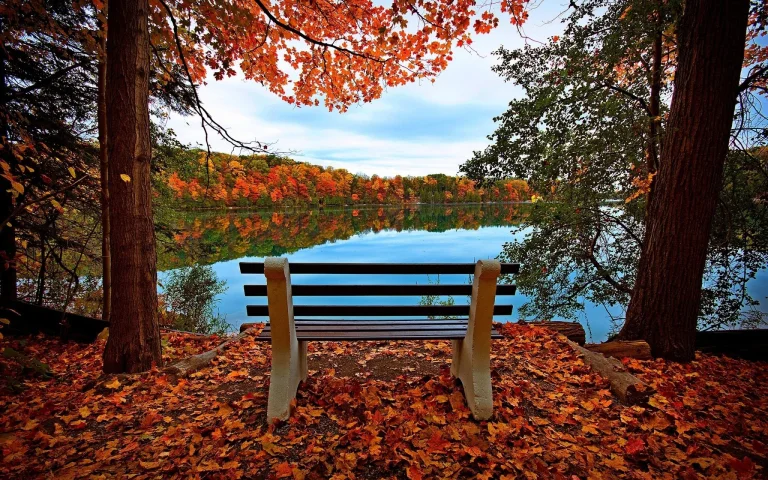 a secluded bench on the shore of a forest lake, surrounded by golden foliage, autumn, autumns, benches, forest, forests, lakes, bodies of water, landscapes, leaves, foliage, leafage, frondage, parks, national parks, reflections, trees, nature