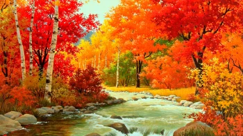 a fast-flowing stream in a vibrant forest on a fine day, autumn, autumns, birch trees, forest, forests, leaves, foliage, leafage, frondage, rivers, canals, streams, trees, nature