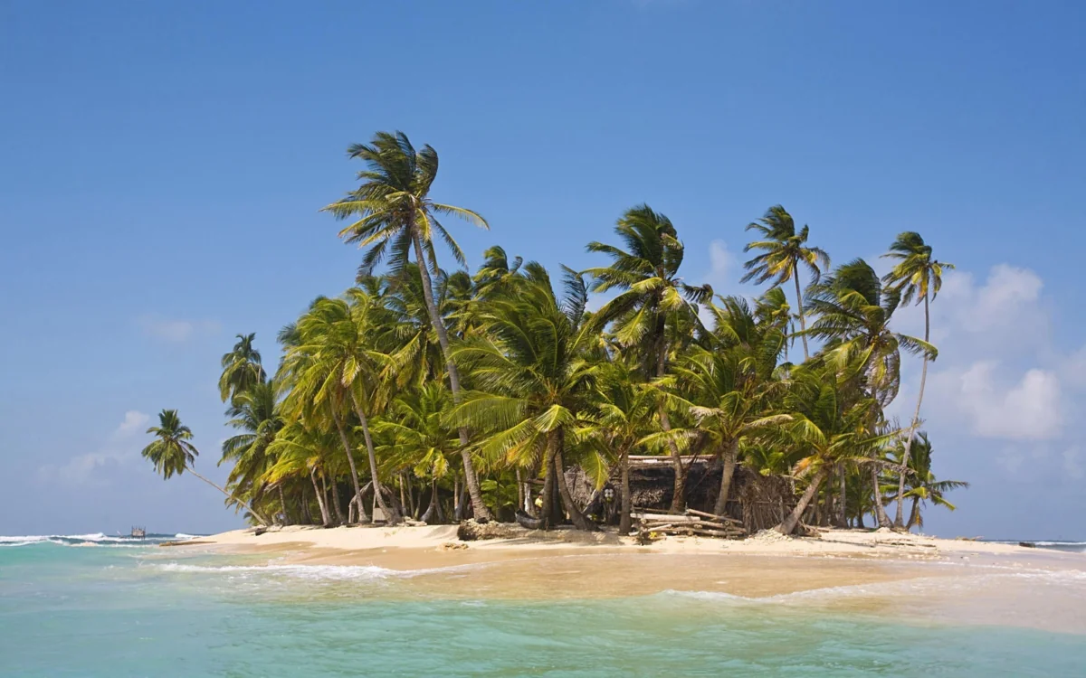 A tropical island with palm trees under a clear sky
