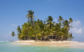 A tropical island with palm trees under a clear sky